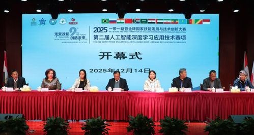 技能交融 創新引領——2025一帶一路暨金磚國家技能發展與技術創新大賽在桐城師專舉辦，技術服務賦能未來